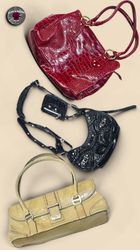 Crocodile emblished bags WR2015