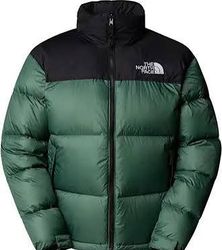 Special North face Puffer Jackets