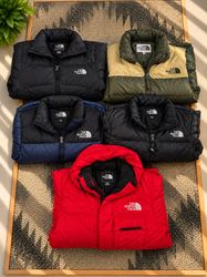 The North Face Puffer Jackets 700 Series