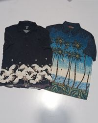 Hawaii Shirt RV # 1681