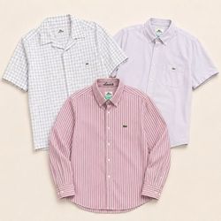 Camisa de Algodão Lacoste