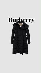 Burberry puffer Jackets 14 PCs