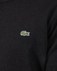 Premium Lacoste sweaters