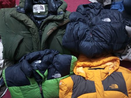 The North Face Nuptse 800