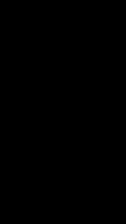 *Branded The North Face puffer nuptse 700/800*