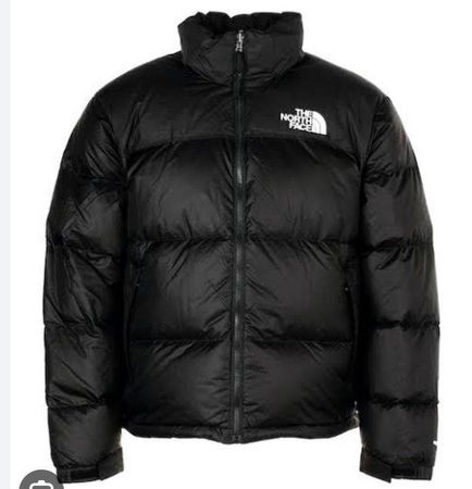 The North Face puffer Jackets 10 pcs