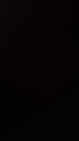 The north face jacket 550/600