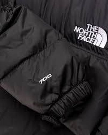 The North face Puffer Jackets 700 800 Series
