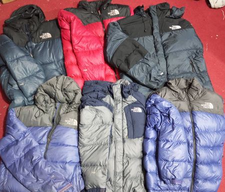 The North Face 700 Puffer Jackets 13 pieces