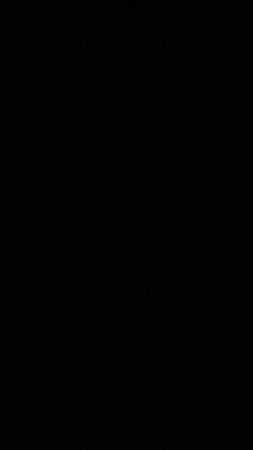 Custom handpick The North Face Puffer Vest