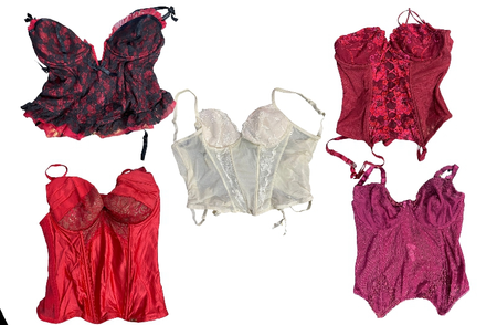 Beautiful sexy Corset 20 pcs