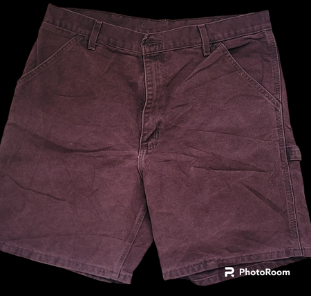 Shorts Carhart 14 pièces