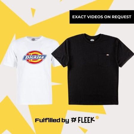 Dickies T-shirt (FBF#296)