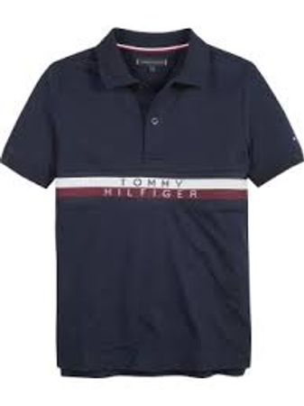 Tommy Hilfiger Collar T-Shirts
