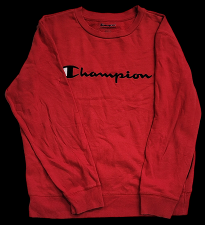 Felpe e hoodies Champion