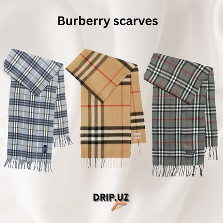 Burberry Scarves