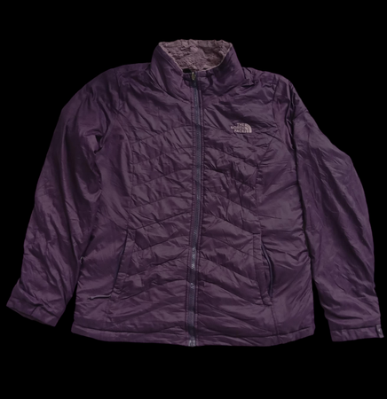 The north face jacket