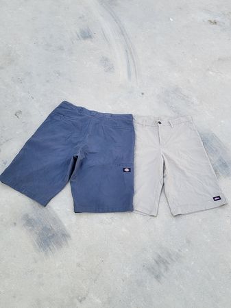 Shorts Dickies
