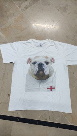 楽しいグラフィックTシャツ 30枚