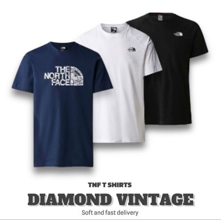 The North Face T-shirt 100 pièces