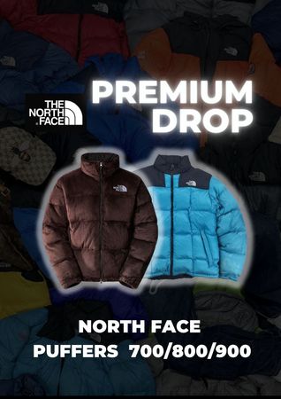 The north face puffers (700,800,900) series-5 pieces