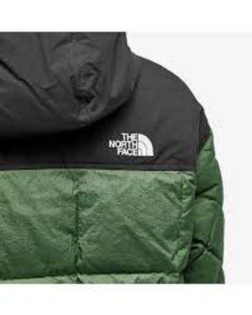 The North Face Nuptse 700-800 Puffer Jacket