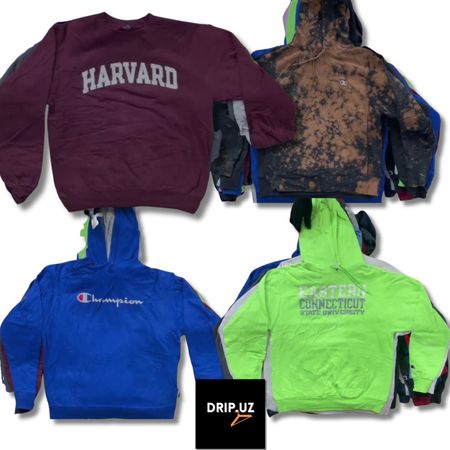 Felpe con cappuccio e felpe Champion H3010/R10