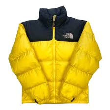 Vestes matelassées Premium The North Face