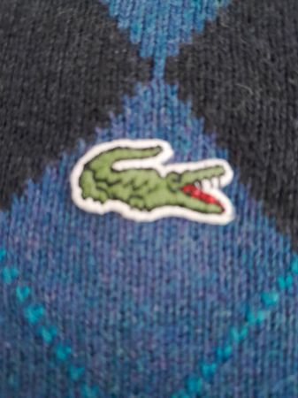 Pulls de qualité premium Lacoste