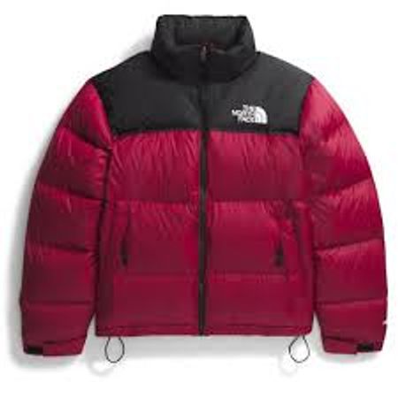 The North Face Puffers