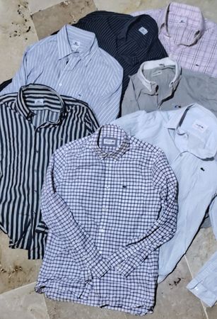 Camisetas Lacoste 🐊