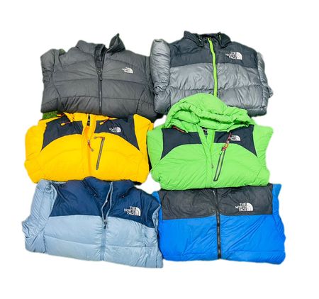 TNF nuptse 800 jackets 10 pcs