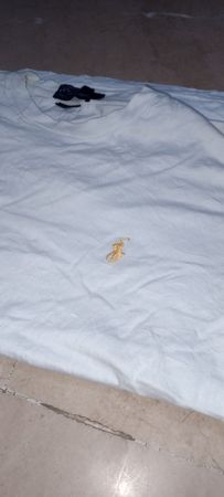 ラルフ・ローレン Tシャツ