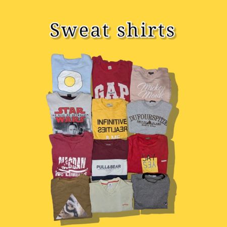 Mix Branded Sweatshirts Bundle