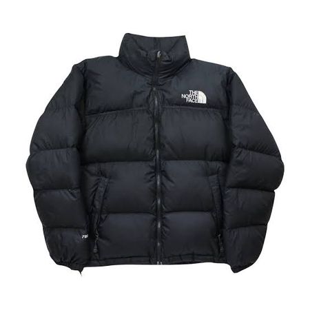 The North Face Puffer Jackets