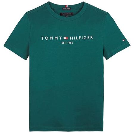 Tommy Hilfiger T-shirts