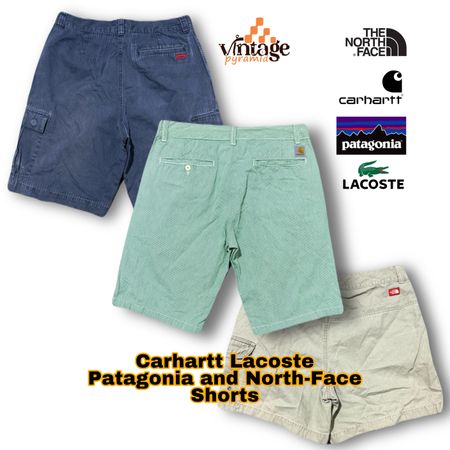 VP090 Carhartt Lacoste Patagonia and The North Face Shorts