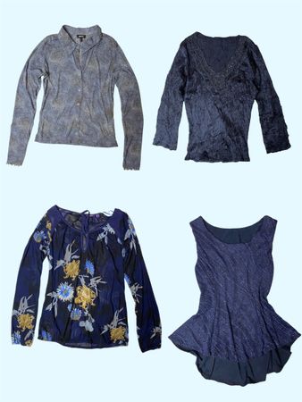 Ethereal Indigo: Vintage Mesh & Metallic Vibes (TS-337)