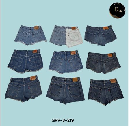 90er & Y2K Ästhetik Levi’s Shorts – Zeitlos & Trendy (GRV-3-219)