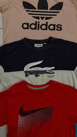 Branded Tees 50 pieces