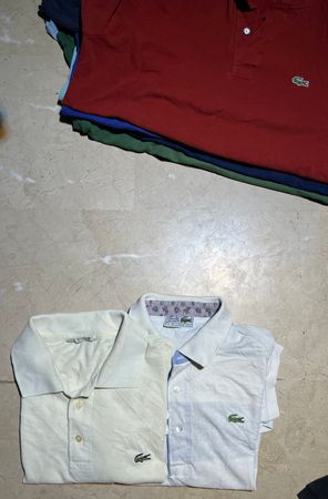 Men's Lactose Polo Shirts 20 Pcs