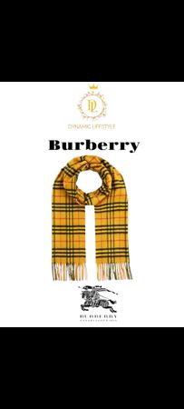 Burberry Scarves 20 pieces