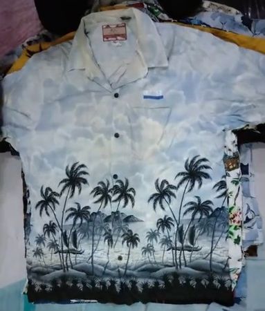 Hawaiian Shirts