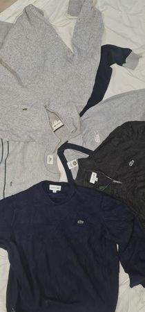 Maglioni Lacoste