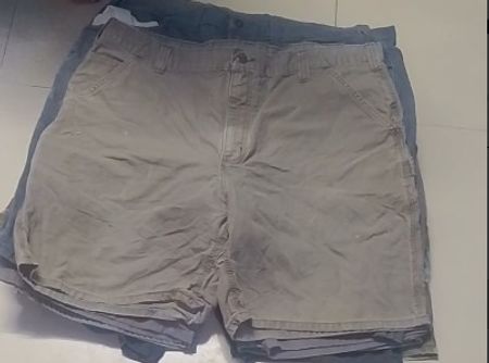 Carhartt shorts