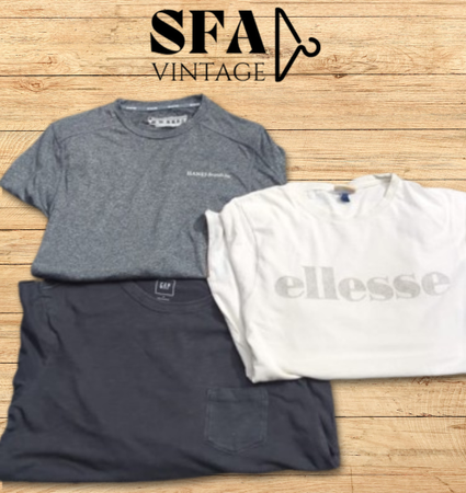 Mixed Branded T-Shirts | Ellesse, GAP, Champion, and Vince