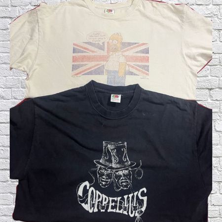 Fruit of the Loom / Gildan T-Shirts || 8 Pcs