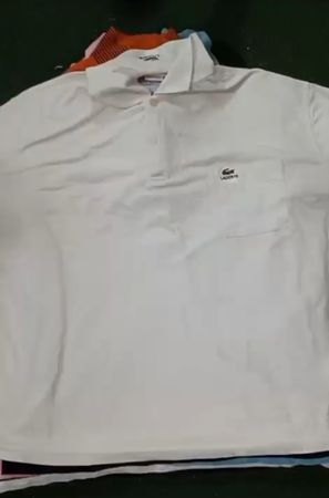 Lacoste T-Shirts R(10)