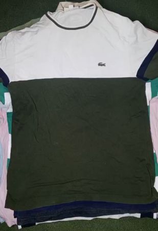 プレミアム ラコステ Tシャツ