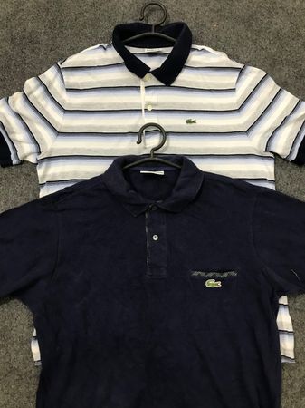 ロコステ Tシャツ